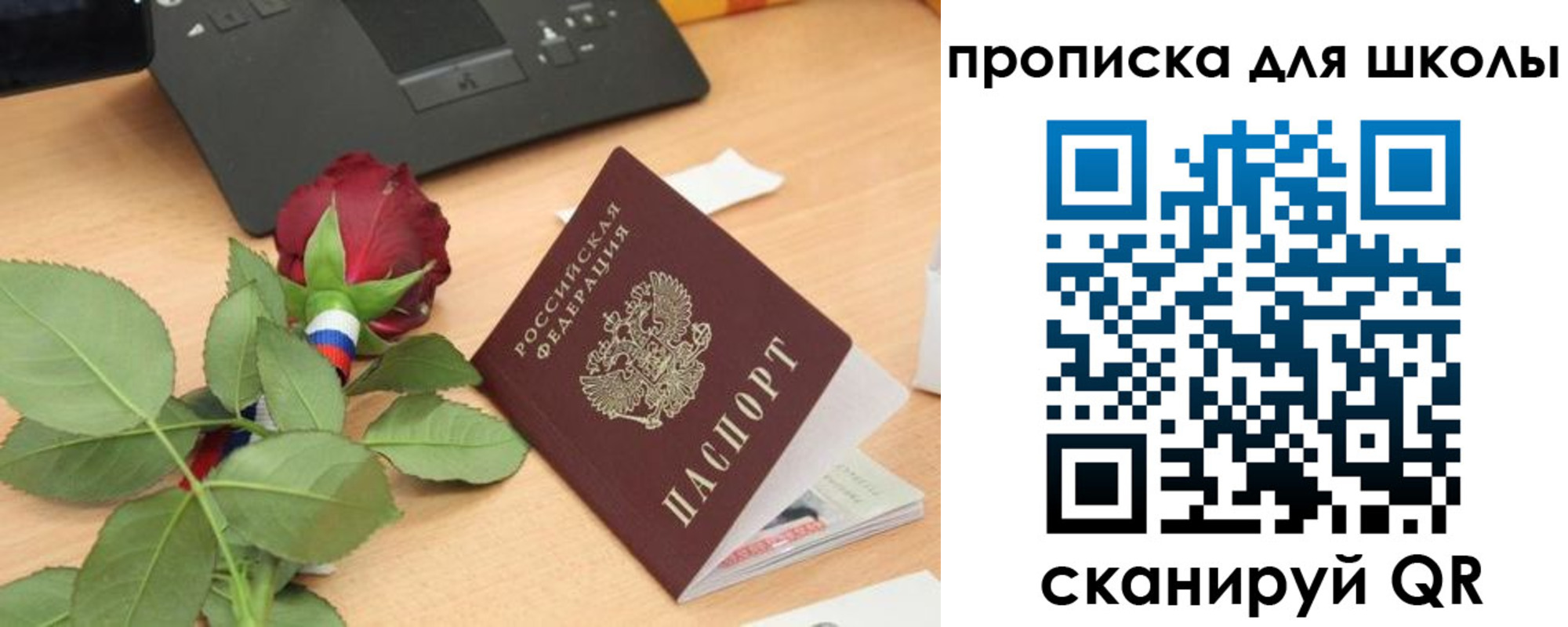 прописка паспорт в Ермолино